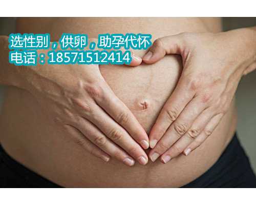 北京有做供卵试管的机构吗试管婴儿