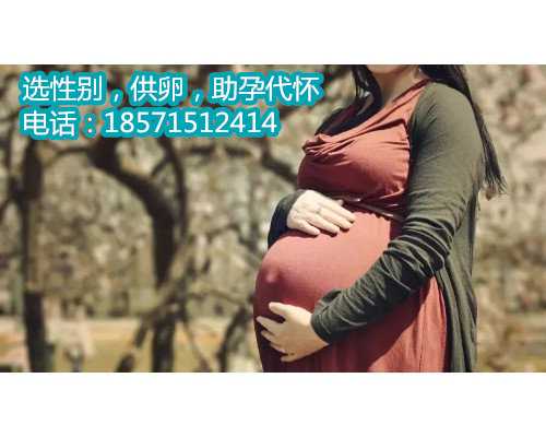 北京供卵助孕中心:科技