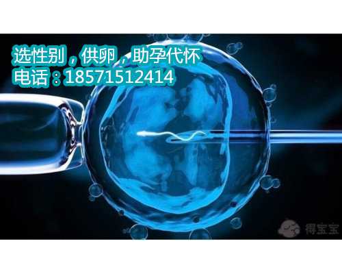 北京供卵流程科技为生命打开新篇章