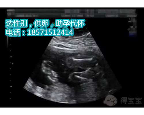北京试管助孕公司,重拾生育的信心
