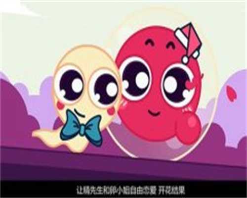 北京正规助孕机构服务内容全介绍