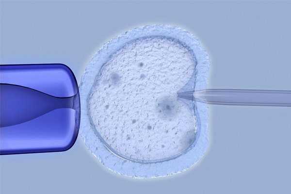 中信湘雅供卵要等多久,子宫肌瘤能做试管婴儿吗-能，论科技的重要性